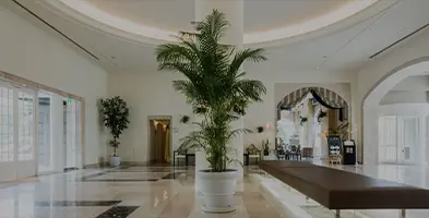 施設・サービス